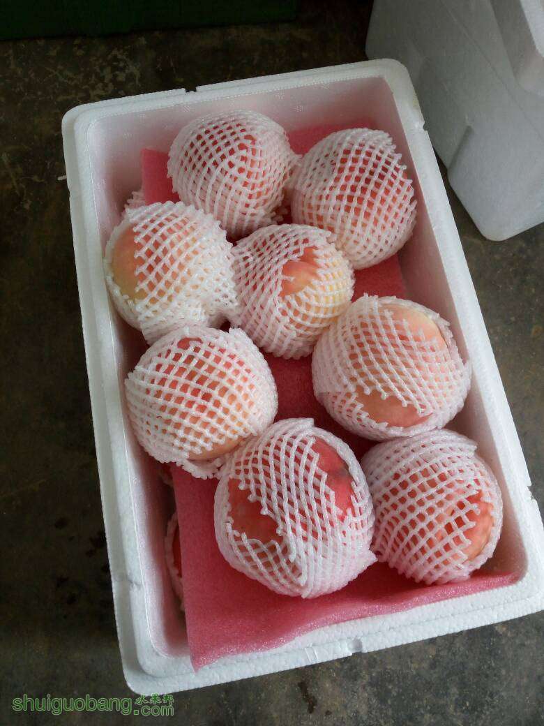 133727yjpkjzup02yc0c0p.jpg