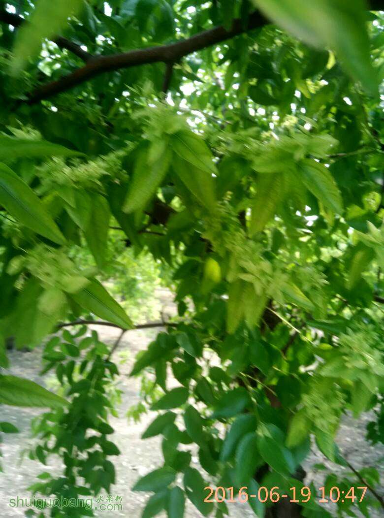 200755ht3aq3t9in60385q.jpg