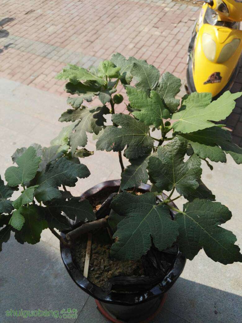 034149dzp9y9pe5vepppvj.jpg