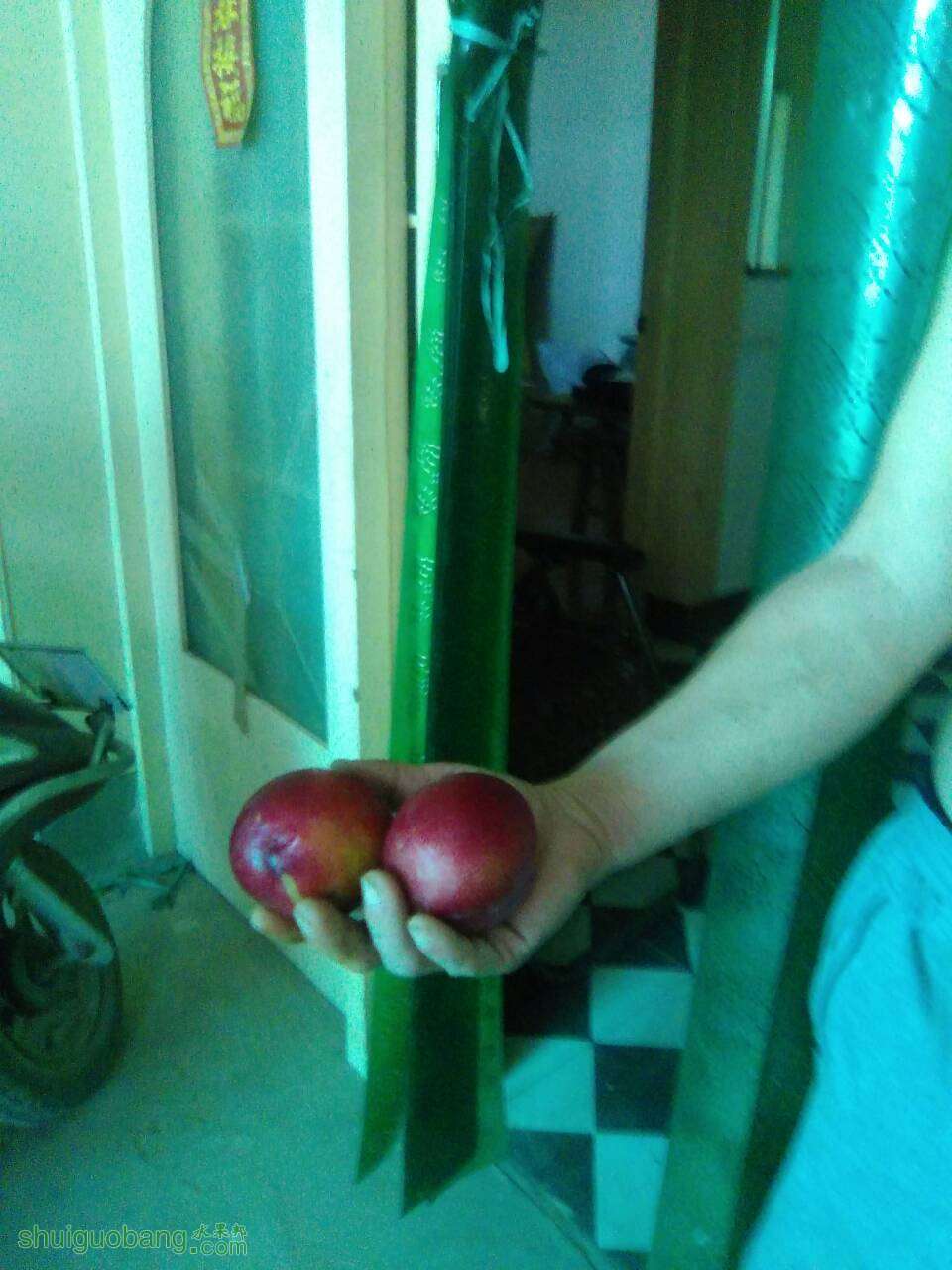 165623gpyyuxvbbpyzbwpx.jpg