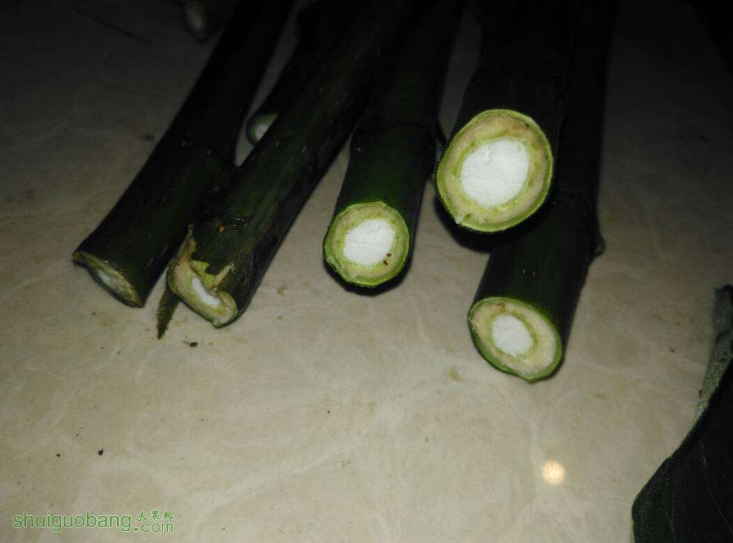 013323nrb1q3rariq8ib85.jpg