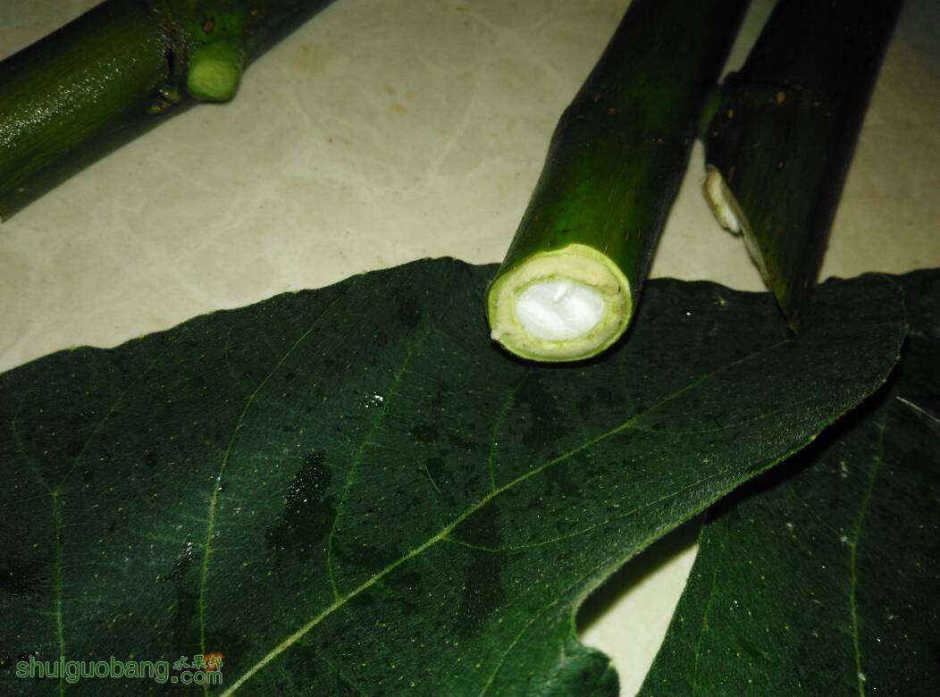 015348qp6kg5l6eu932b92.jpg