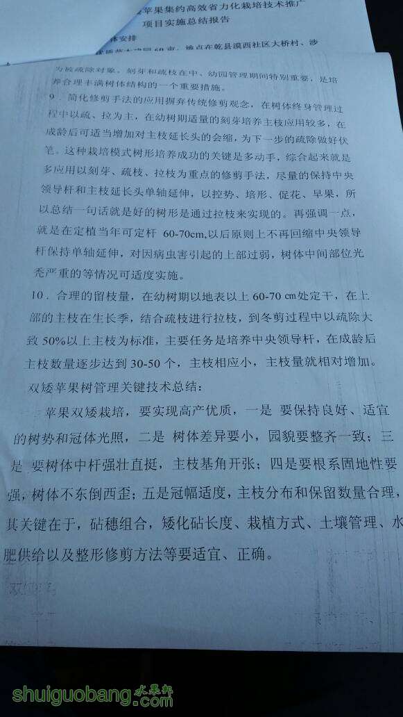 124300dkkr822p2q820fvp.jpg