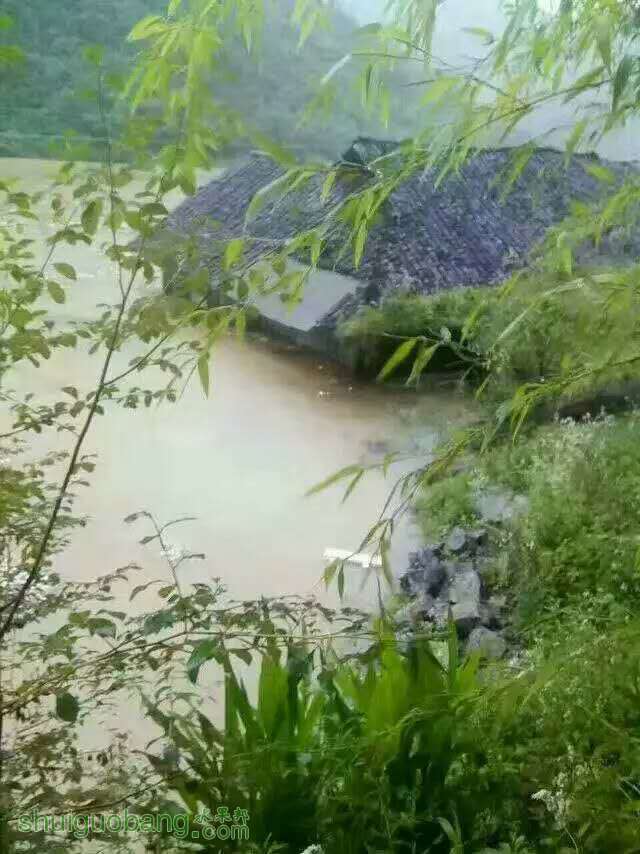 134353bdscqdnzw6g01e99.jpg