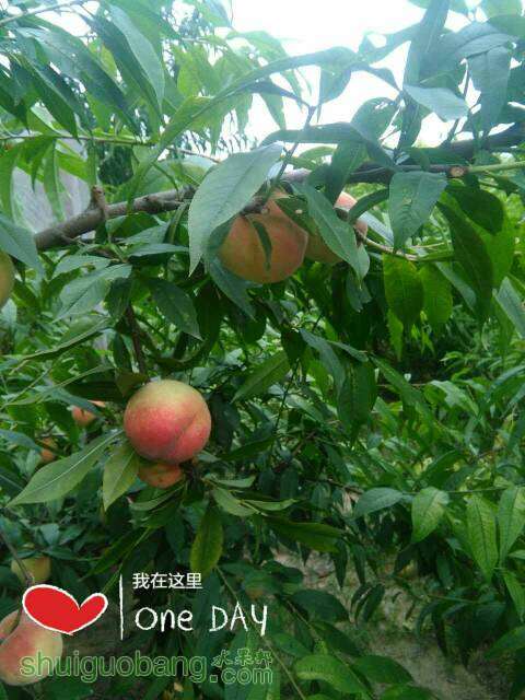 075312jov3vn3n33fvl3vm.jpg