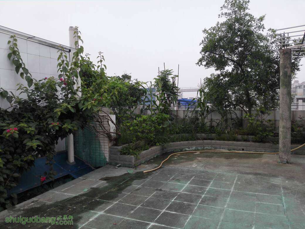 082951j9k891de9fwe93w9.jpg