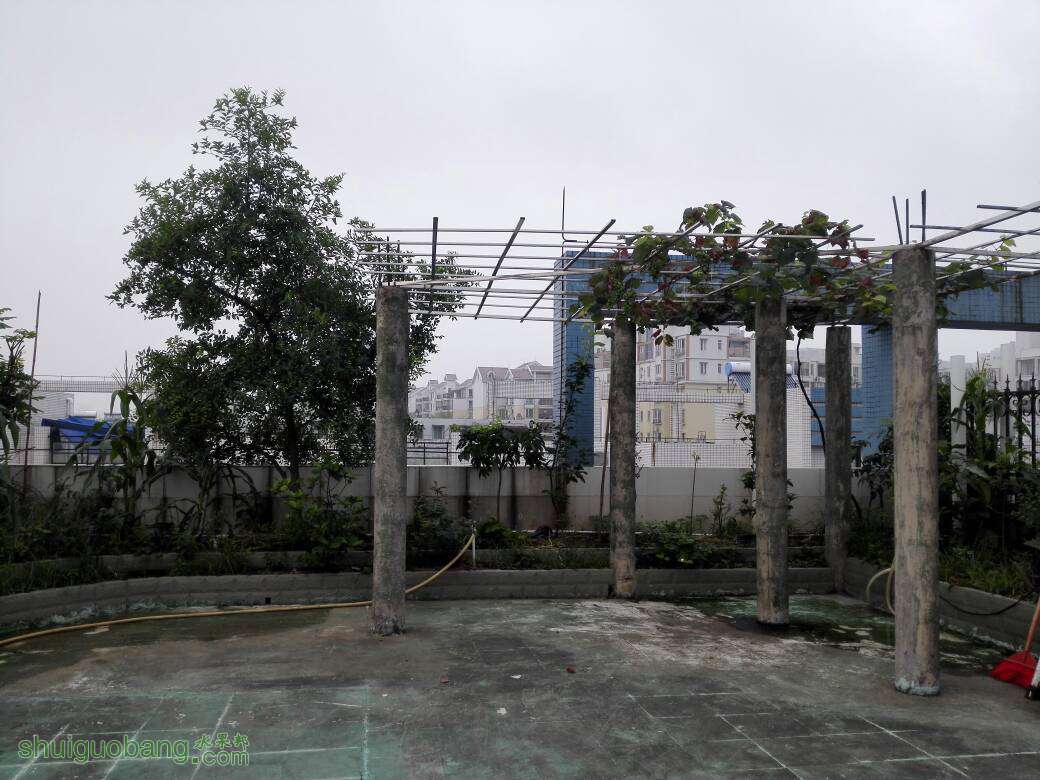 082951lj4brjabmbahuhs8.jpg