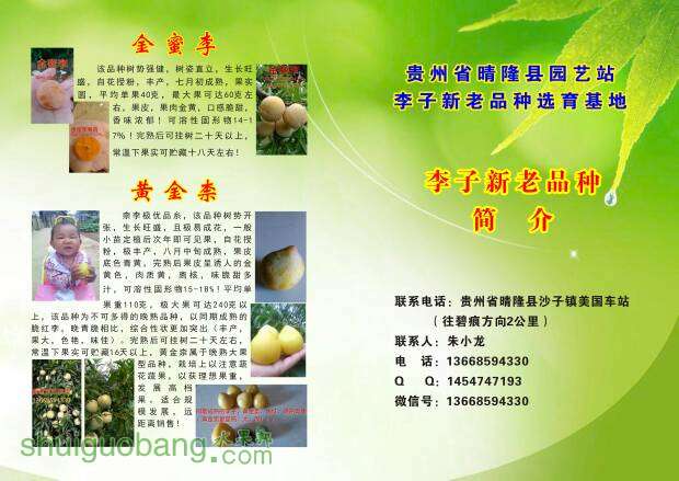 101417r716tq06qv711tc7.jpg