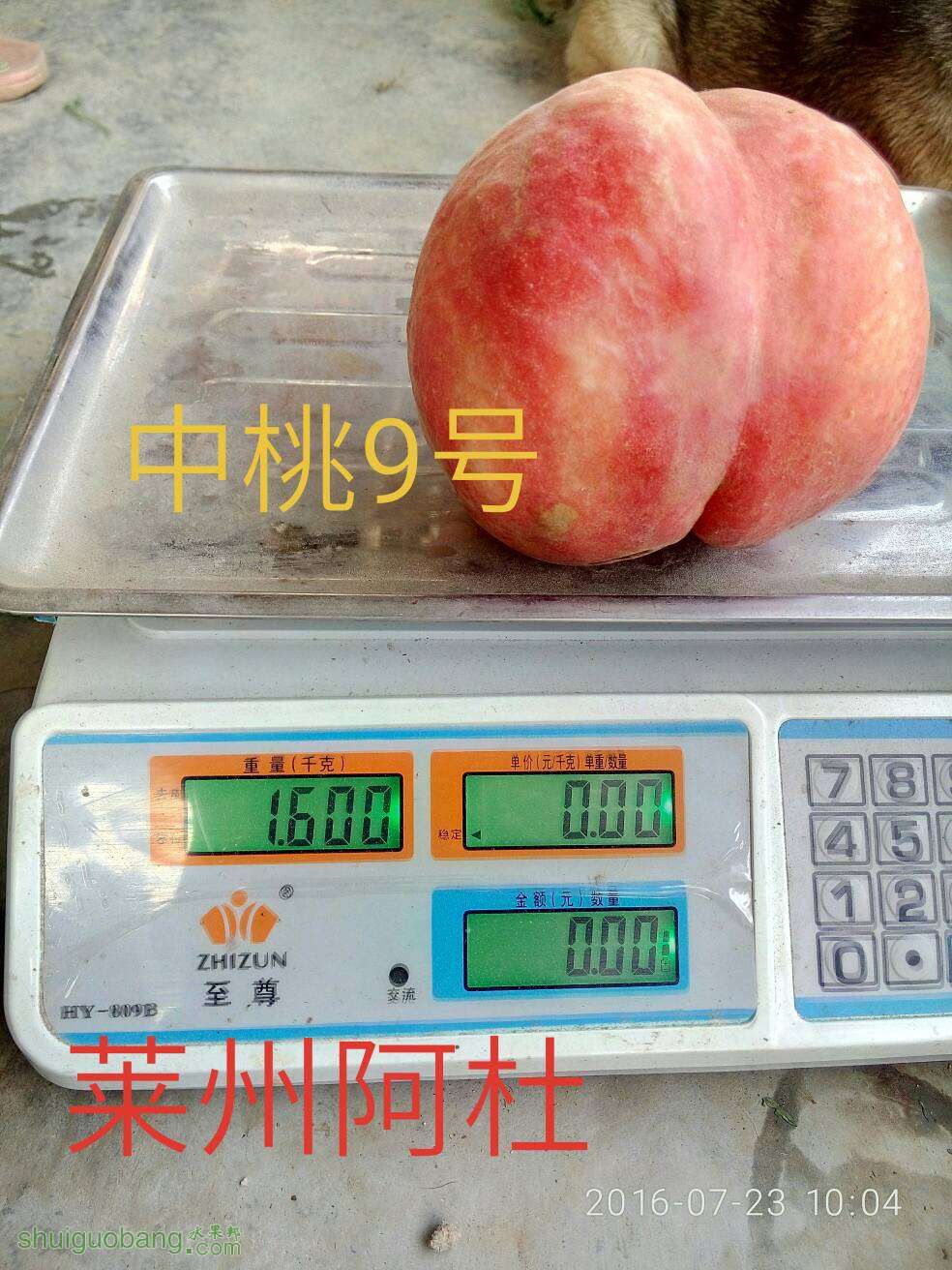 143839o98kjtk17aa4u98g.jpg