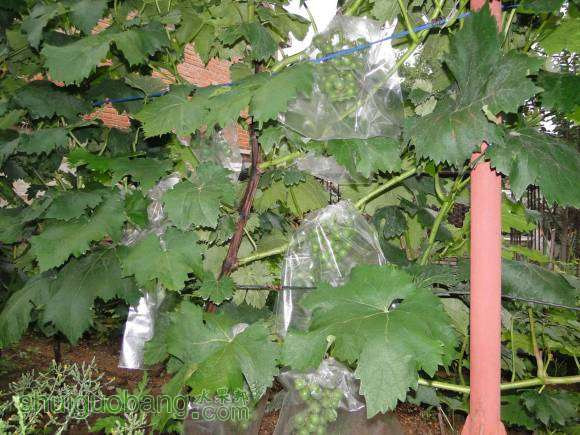 ��һ�������С��