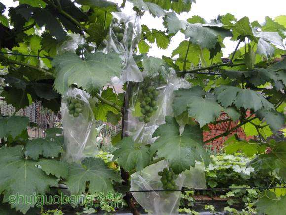 ��һ�������С��