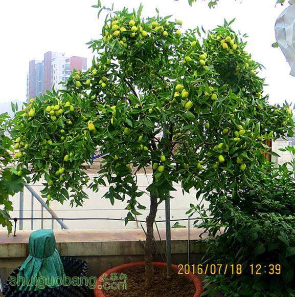 2016.7.18.̨ 009.jpg