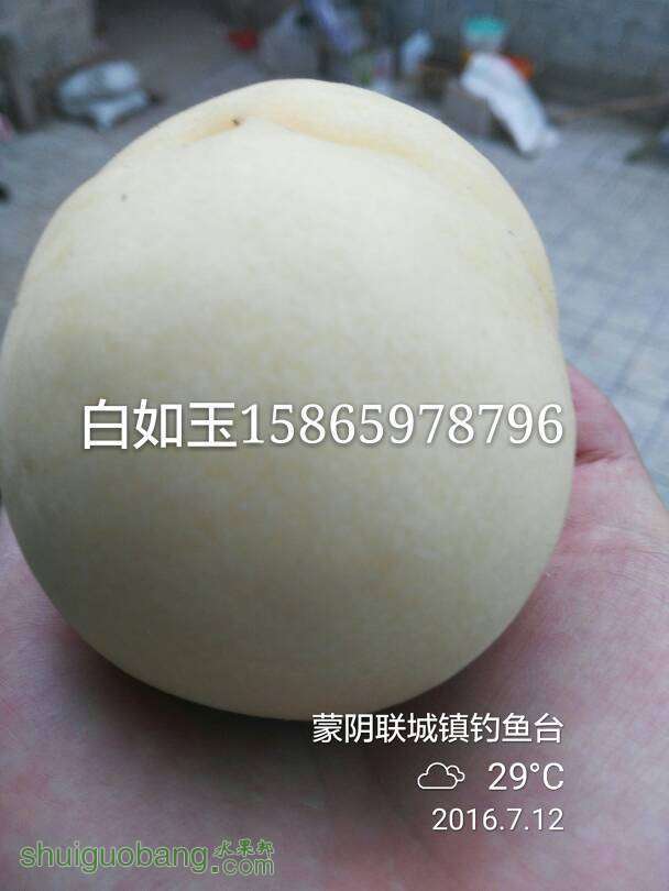 120348i4dfrs4fzzmasr7j.jpg
