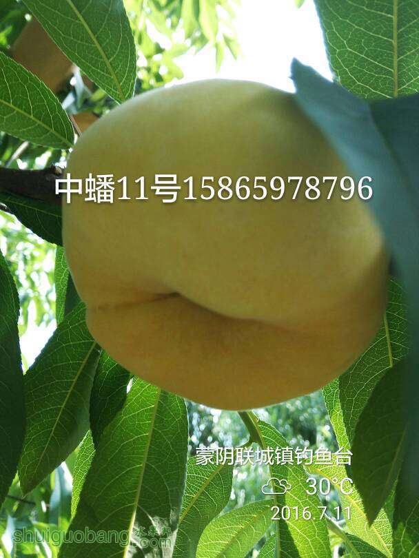 120348w3353kak0k45hh31.jpg