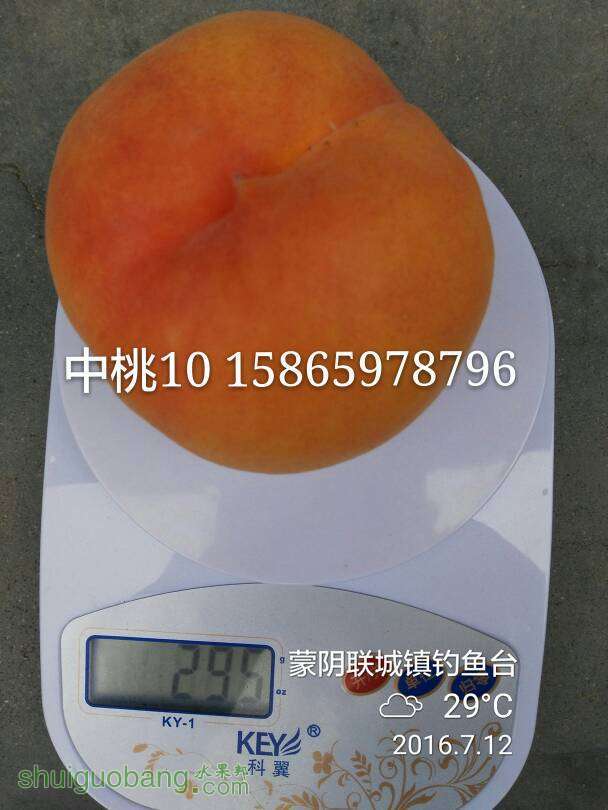 120348wvj0jcnujjgb5cc0.jpg