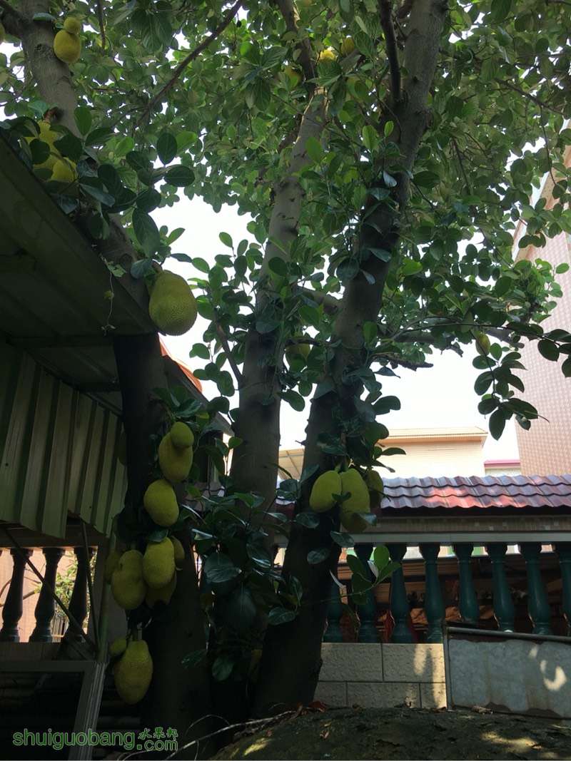 142822uvnbvfdlltdlfbt1.jpg