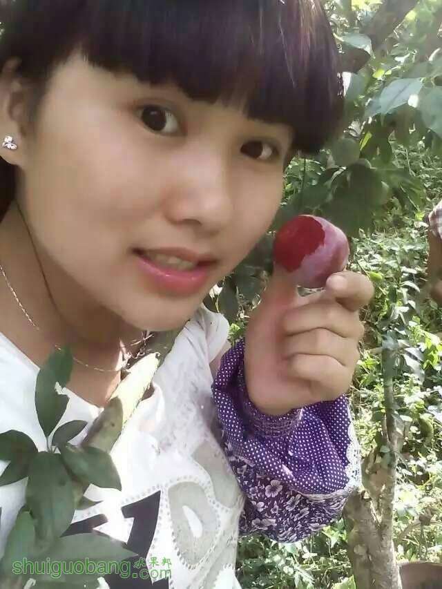 152534sbhkfeaeynk47lkp.jpg