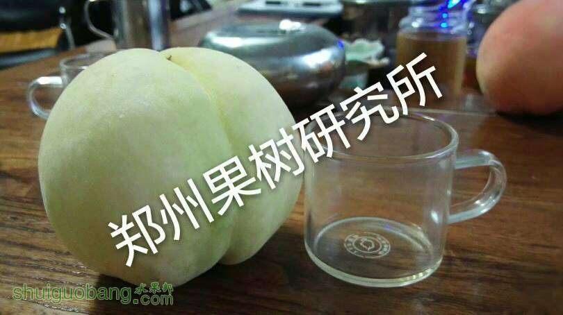 234719cne66su5wbew6enn.jpg