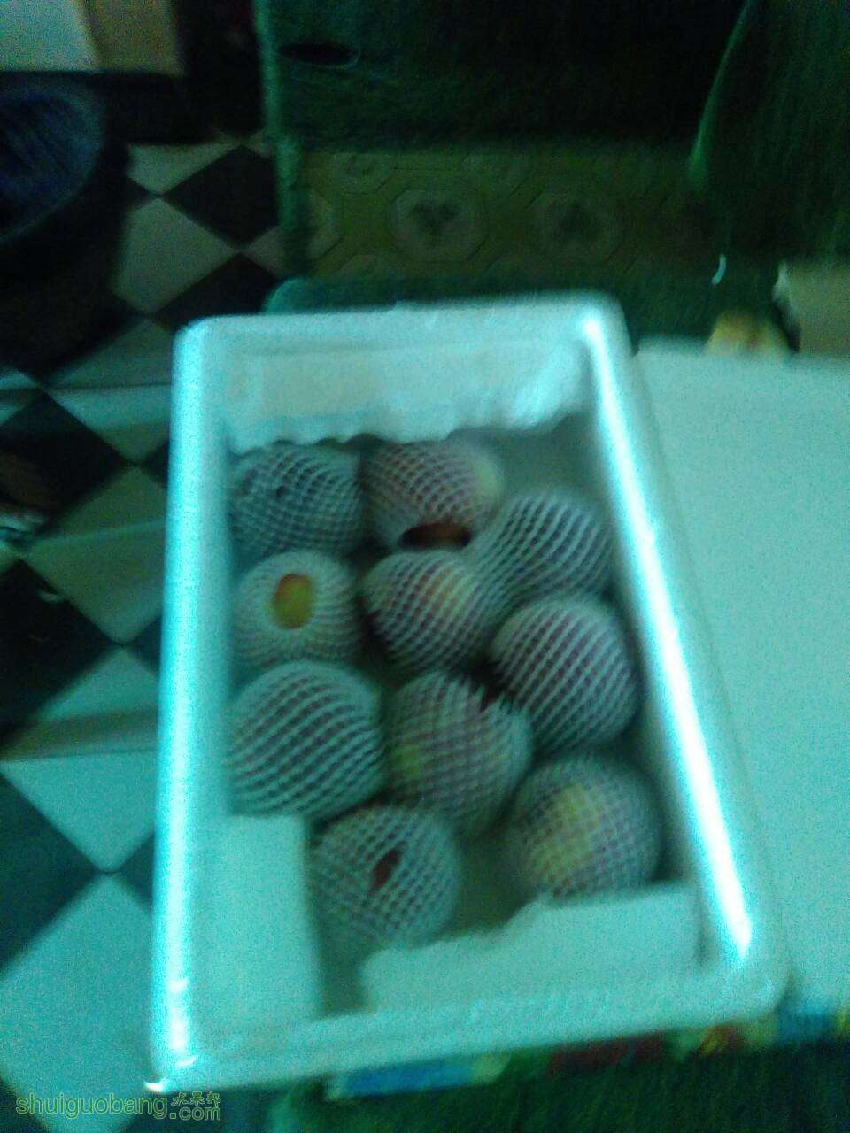 091257sqjrxrwmkk4xrxx7.jpg