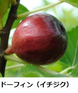 705_1_expand (1)1.jpg