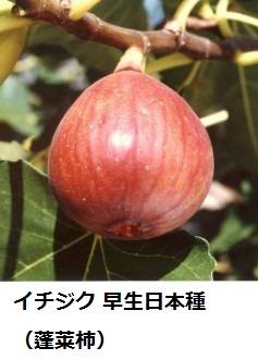 58_1_expand22.jpg