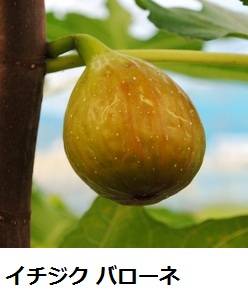 834_1_expand33.jpg