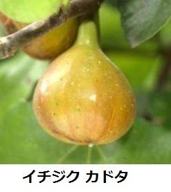 626_1_expand44.jpg