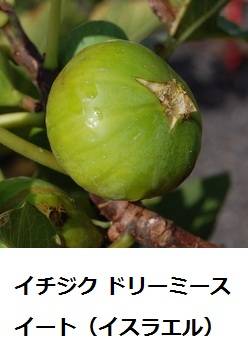837_1_expand55.jpg