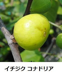 840_1_expand88.jpg