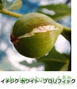 846_1_expand1212.jpg