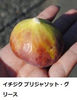 849_1_expand1313.jpg