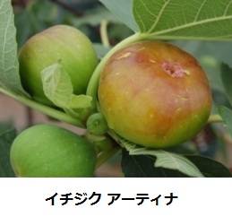 622_1_expand1616.jpg