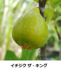 46_1_expand1818.jpg