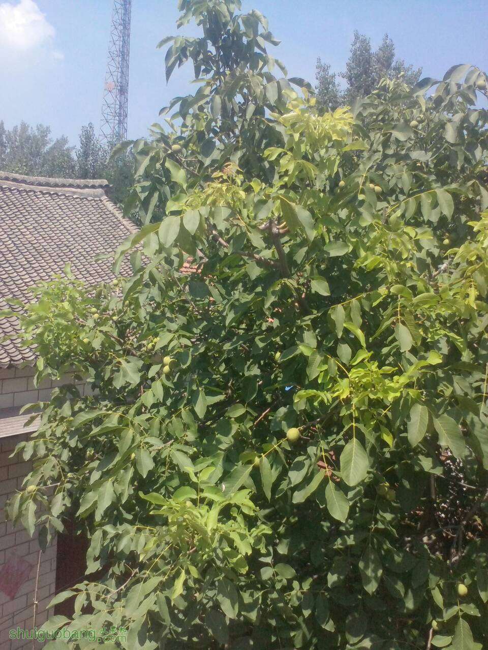 141643yr0mtq17tw575qyq.jpg