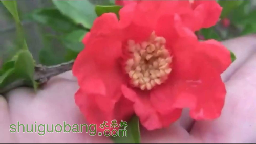 1469545710690.jpeg