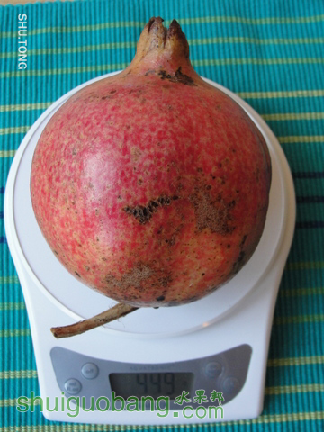 e175c1cf8446EzrhQbK6.jpg