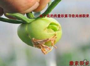 100936kdi8yy46jc6jkhy9.jpg