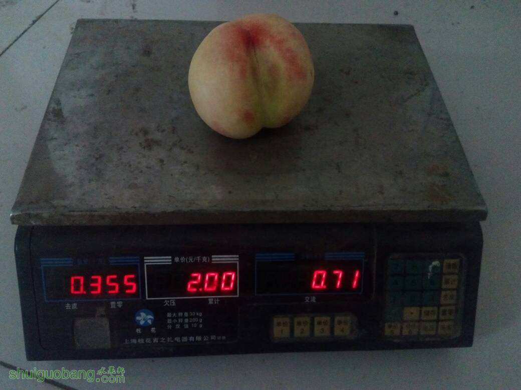 101759cltevvmtrm8t8mrt.jpg