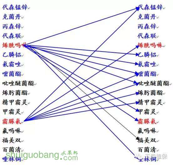 1.webp (1).jpg
