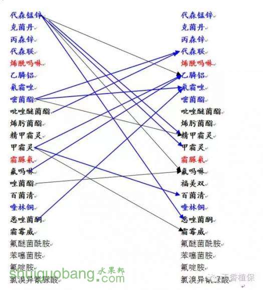 2.webp (1).jpg