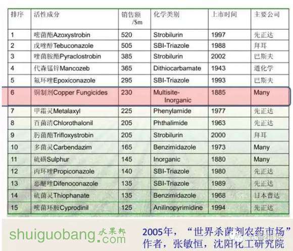 5.webp (1).jpg