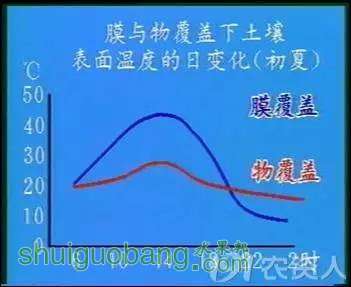 1.webp.jpg