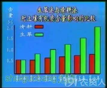 5.webp.jpg