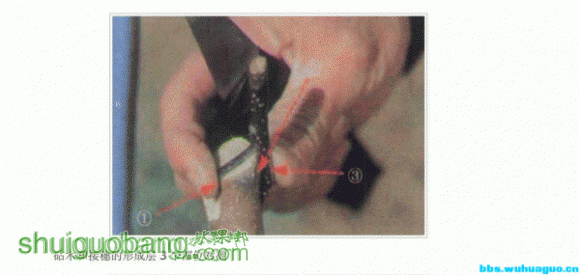 17.gif