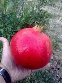 1469678184465.jpeg