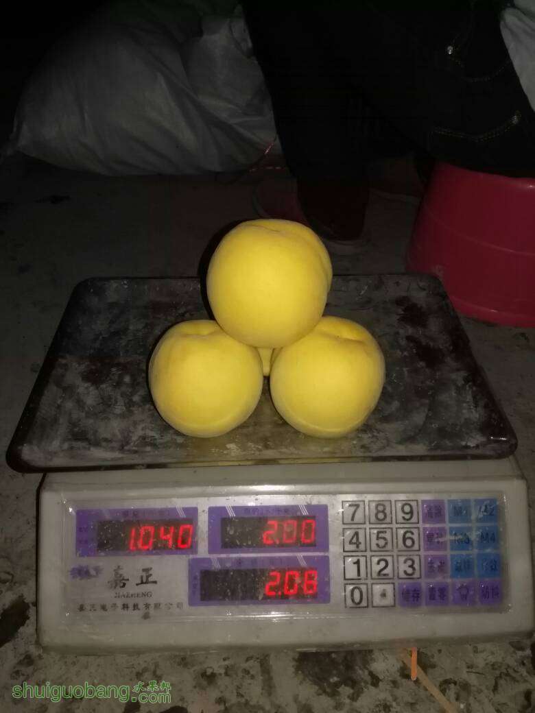 111813k1vqvvhbbvvahvvt.jpg