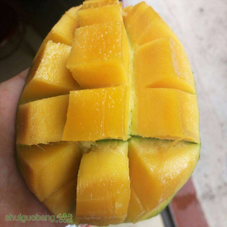 145513j4ewixgqw44ehiis.jpg