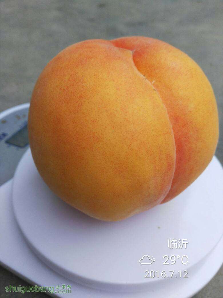 001418pmfem3ibjtfk3gkg.jpg