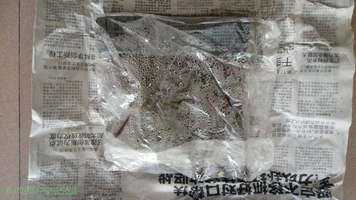 094731ovdtvt7t55o5tbcb.jpg