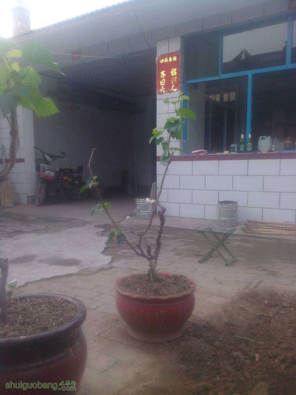 121556aenjntjj9qq0tef7.jpg